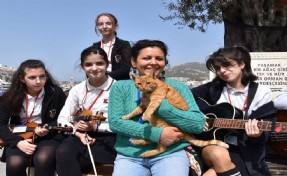 Foça'da sokak ve barınak hayvanlarına sıcak ilgi