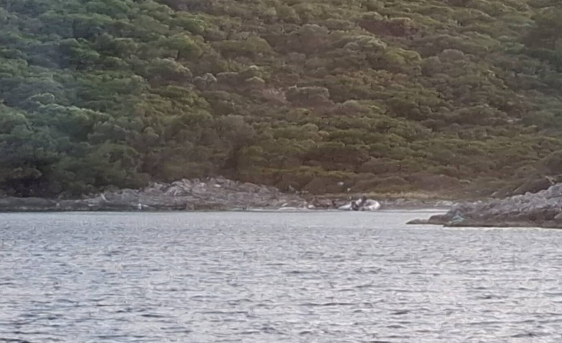 Girişi yasaklı Milli Park'a ziyaret pahalıya patladı