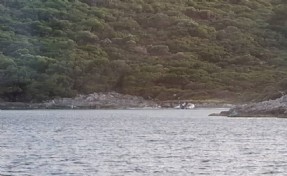 Girişi yasaklı Milli Park'a ziyaret pahalıya patladı