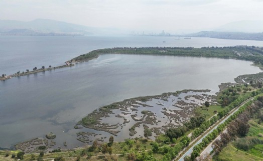 İzmir Körfezi'nden umutlandıran ölçümler