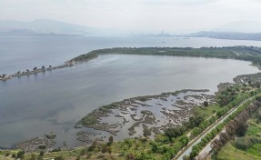 İzmir Körfezi'nden umutlandıran ölçümler