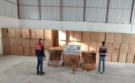 İzmir'de 6 ton kaçak tütün ele geçirildi