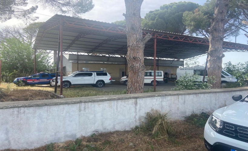 İzmir'de 8 ay önce eşi intihar eden 2 çocuk babası, sevgilisiyle ağaçta asılı halde ölü bulundu