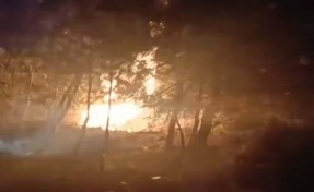 İzmir'de orman yangını çıkaran 5 defineci tutuklandı
