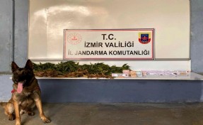 İzmir'de uyuşturucuya 2 gözaltı