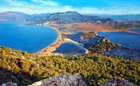 İztuzu Plajı'nda caretta yuva sayısı 100'e ulaştı
