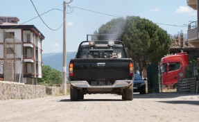 Kemalpaşa'da ilaçlama seferberliği