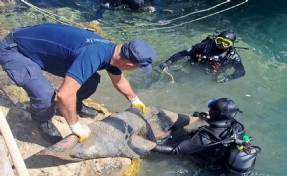 Kuşadası'nda deniz dibinden 628 kilogram katı atık çıkarıldı