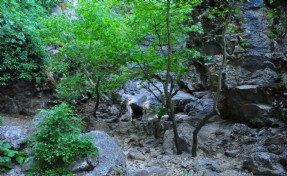 Manisa'da 'saklı kanyon' kurudu