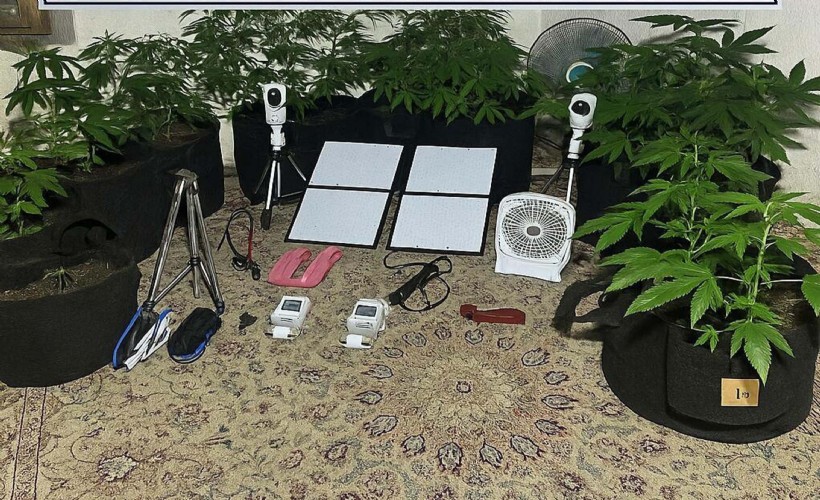 Metruk binada Hint keneviri yetiştiren üniversiteliye gözaltı