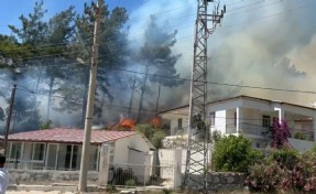 Muğla'daki orman yangını kontrol altına alındı