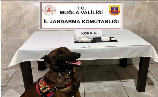 Yolcu otobüsüyle uyuşturucu sevkiyatı 'Etil'e takıldı