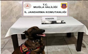 Yolcu otobüsüyle uyuşturucu sevkiyatı 'Etil'e takıldı