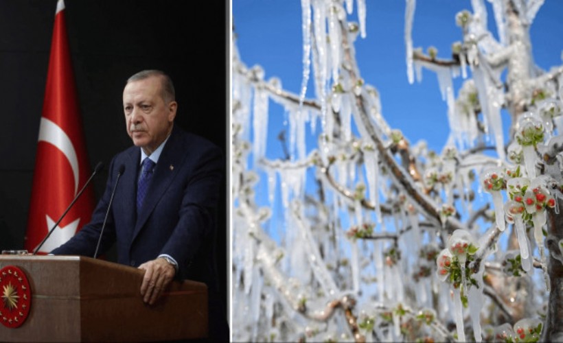 Zirai don felaketinin boyutu 'Çiftçiler Günü'nde ortaya çıktı! Cumhurbaşkanı açıkladı