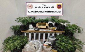 'Zehir' ticaretine jandarmadan operasyon
