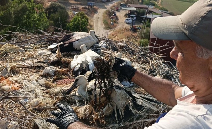 Ayağına ip dolanan yavru leylek kurtarıldı