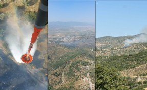 Aydın'da, tarım arazisindeki yangın 1,5 saatte söndürüldü