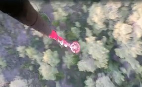 Aydın ve Muğla'daki orman yangınları söndürüldü
