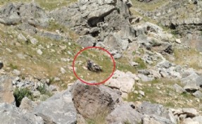 Batman'da korkunç kaza: 5 ölü 1 yaralı