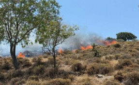 Bodrum'da korkutan maki yangını