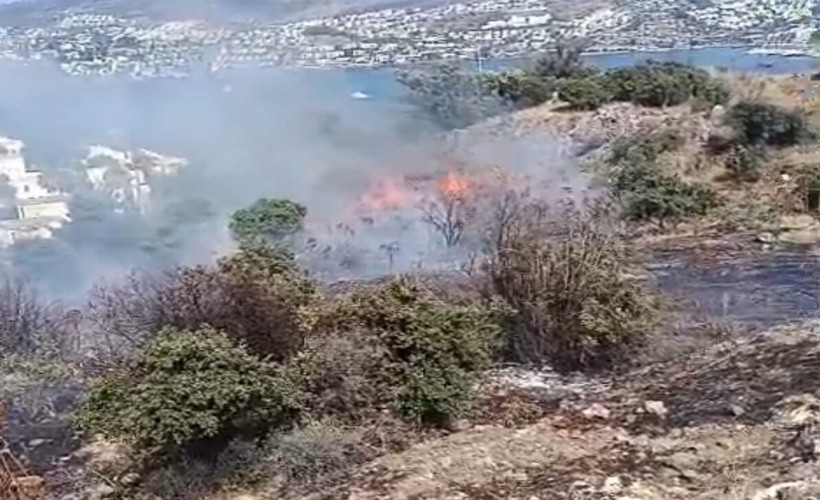 Bodrum'da makilik alanda yangın!