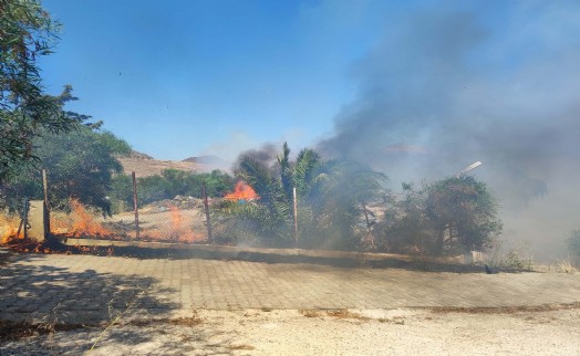 Bodrum'da ot yangınında alevler ağaçlara sıçradı