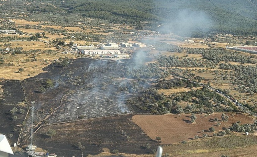 Bodrum'da tarım arazisinde yangın, 2 hektar zarar gördü