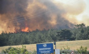 Bornova Yakaköy yangını ile ilgili yeni gelişme; 2 şüpheli tutuklandı