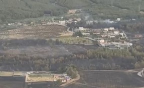 Bornova'daki yangın kontrol altında