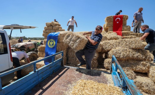 Buca Belediyesi’nden hayvancılık yapan köylülere saman balyası desteği