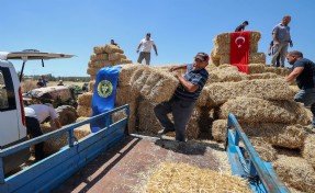 Buca Belediyesi’nden hayvancılık yapan köylülere saman balyası desteği