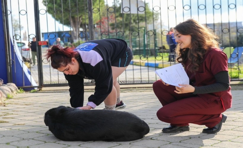 Buca'dan can dostlar için ücretsiz bakım desteği