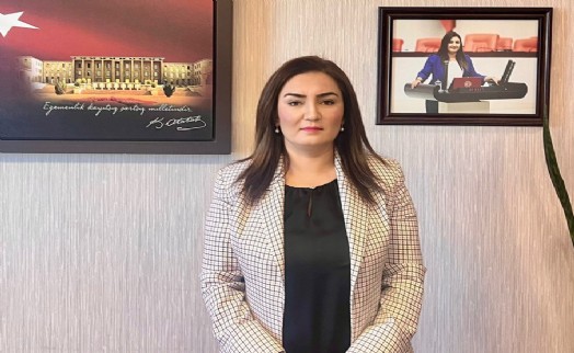 CHP'li Kılıç'tan 'talan yasası'na sert tepki: Zeytin ağaçlarımız kesilecek