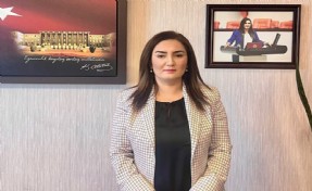 CHP'li Kılıç'tan 'talan yasası'na sert tepki: Zeytin ağaçlarımız kesilecek