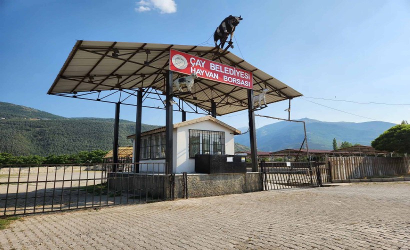 Çay’da hayvan pazarı kapatıldı