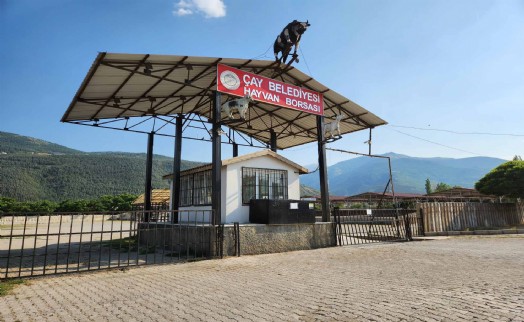 Çay’da hayvan pazarı kapatıldı