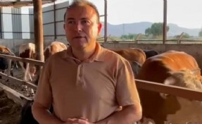 Dananın saldırısına uğrayan iş insanı, 3 gün sonra öldü