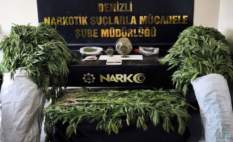 Evinin bahçesini zehir tarlasına çeviren şahıs tutuklandı