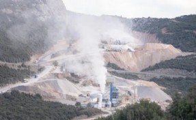 Gıda mühendislerinden zeytinlikleri madenciliğe açan yasaya tepki