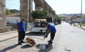 İzBB ile Efes Selçuk iş birliğiyle haşerelere karşı temizlik: Ekiplerden yoğun mesai