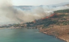 İzmir Dikili'de maki yangını