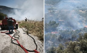 İzmir İtfaiyesinden üç ilçede yangınla mücadele