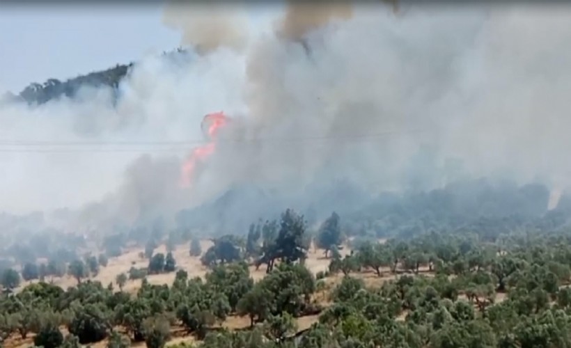 İzmir Foça'daki orman yangını 5'inci saatte kontrol altında! 4 şüpheli gözaltına alındı
