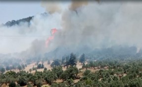 İzmir Foça'daki orman yangını 5'inci saatte kontrol altında! 4 şüpheli gözaltına alındı