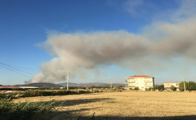 İzmir'de sanayide çıkan yangın ormana sıçradı: 11 saat sonra kontrol altına alındı