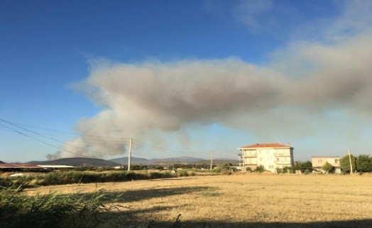 İzmir'de sanayide çıkan yangın ormana sıçradı: 11 saat sonra kontrol altına alındı