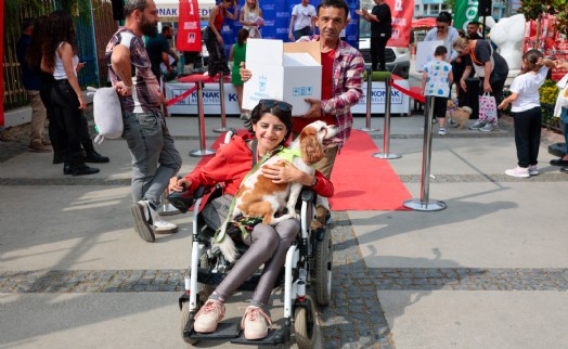 Konak’ta can dostlara özel şenlik: Yeni yuvalarına kavuştular
