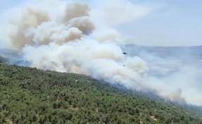 Manisa'daki orman yangını 25 saatte kontrol altına alındı