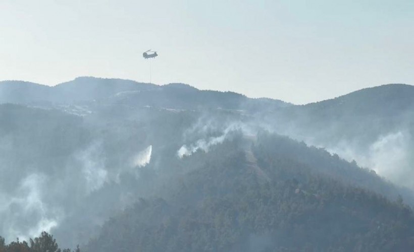Manisa'daki orman yangınında 2. gün: 'Risk halen devam ediyor'