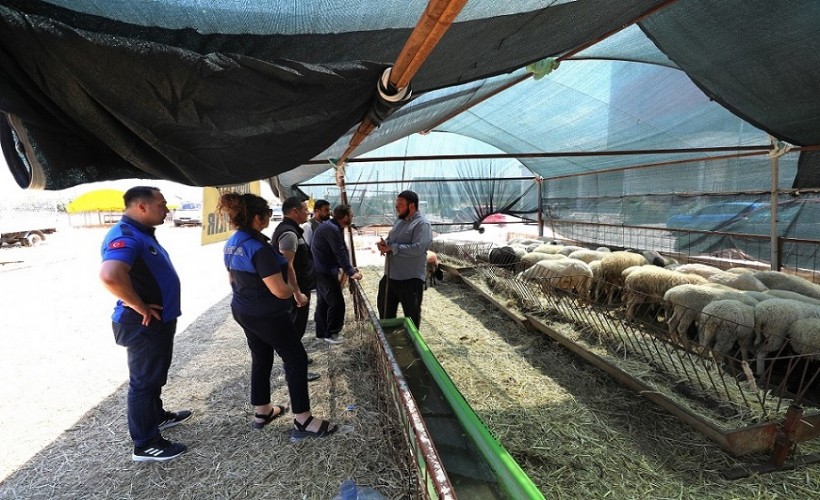 Menderes'te Kurban Bayramı öncesi sıkı denetim
